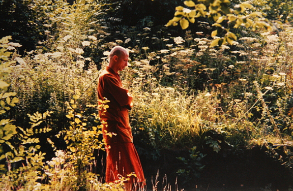 walking meditation bhikkhu