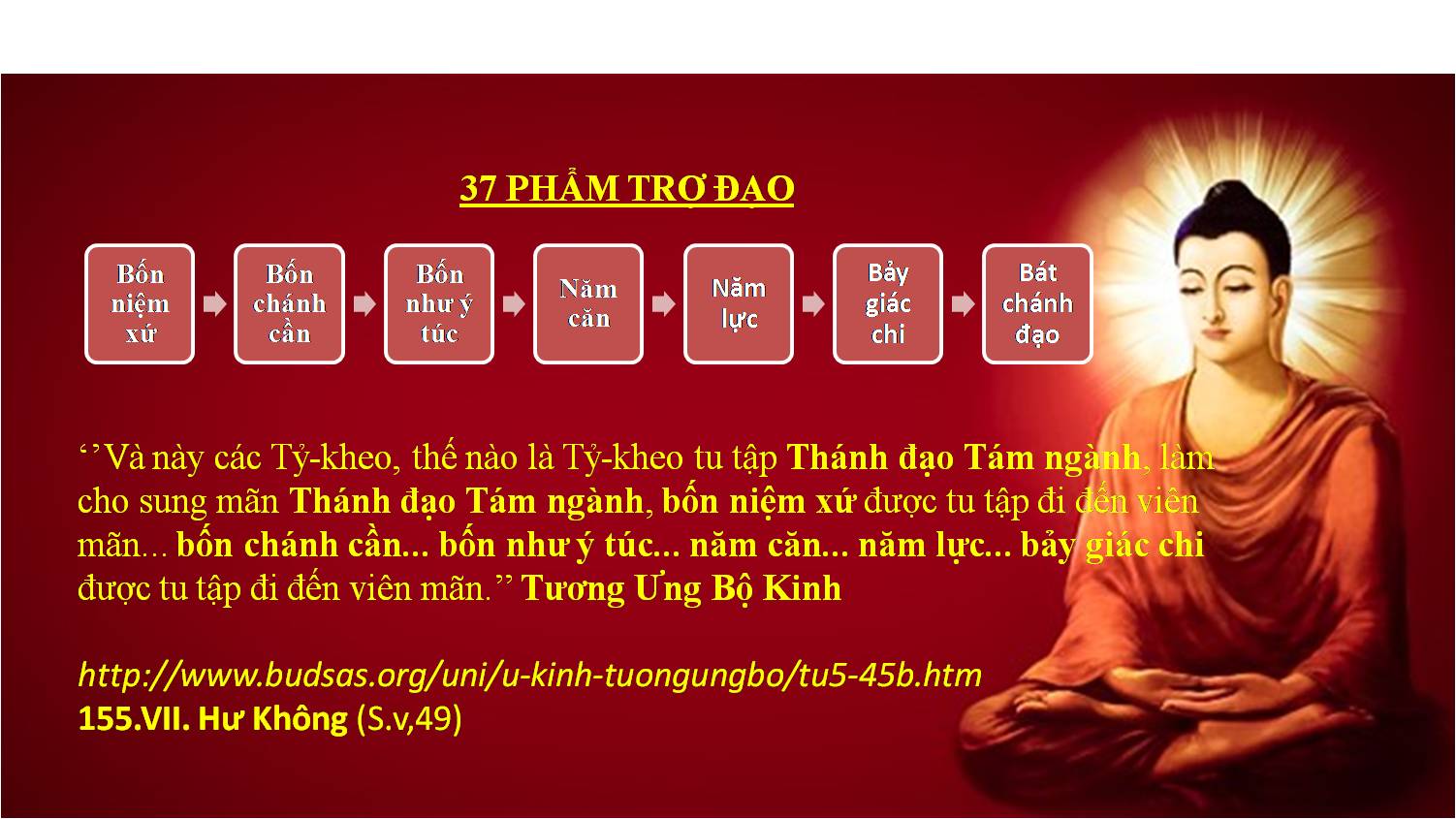 37 Pham Tro Dao_1
